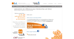 Desktop Screenshot of ecl-lab.com