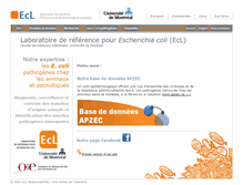 Tablet Screenshot of ecl-lab.com